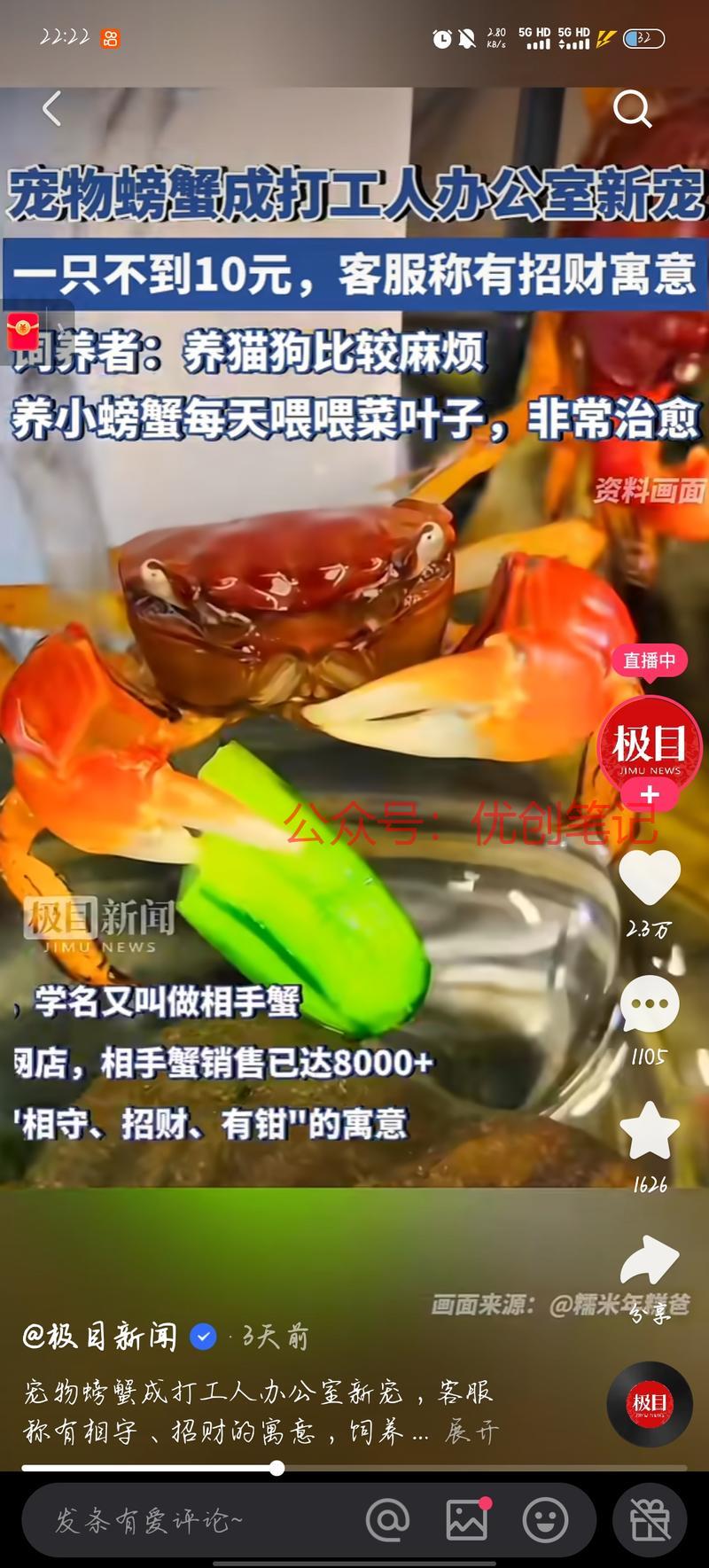 宠物螃蟹感觉比较新颖，适合想要..情报-搞钱线报📢论坛-网创交流-优创圈